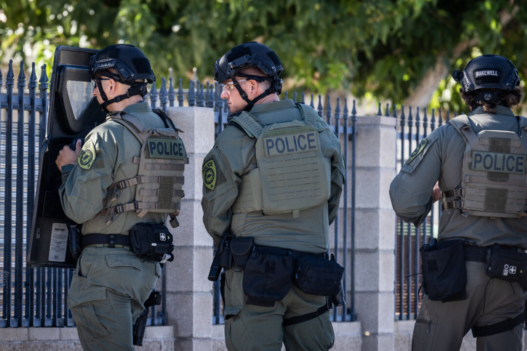 California Law Enforcement Seizes $124 Million in Illegal Marijuana in ...