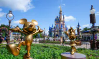Disney Posts Solid Results on Streaming, Parks Demand, Plans Abu Dhabi Park