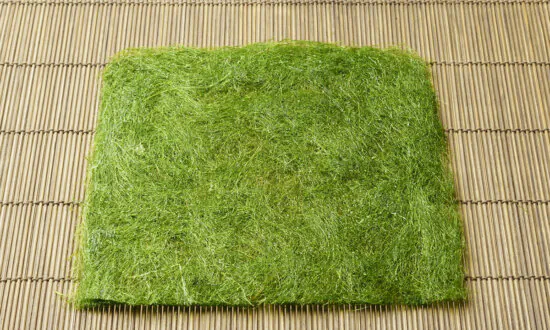 Seaweed Shows Promise in Preventing Parkinson’s Disease: Animal Study