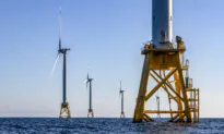 Trump Pauses Federal Offshore Wind Leases, Calls for Review of Wind Projects on Federal Land