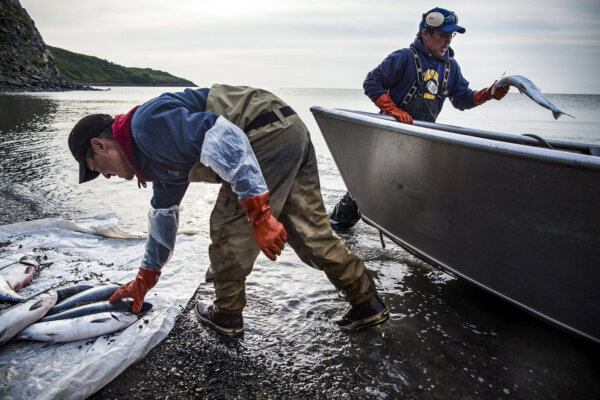 Alaska Salmon Fishery Wins Lawsuit