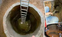 Man Discovers Brick Well Under Kitchen Floor of His 1700s House While Renovating—See What’s Inside