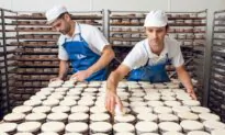 How America’s Best Cheese Is Made on a Wisconsin Family Farm