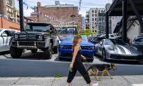 US Consumer Confidence Nosedives Amid Growing Concerns Over Job Security