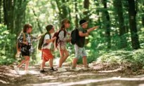 Homeschooling Must-Haves for a Successful School Year 