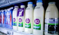 A2 Milk Shares Plunge Amid Challenging China Market