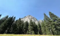 Glacier-Carved Kings Canyon Offers Mountain Adventures in Central California