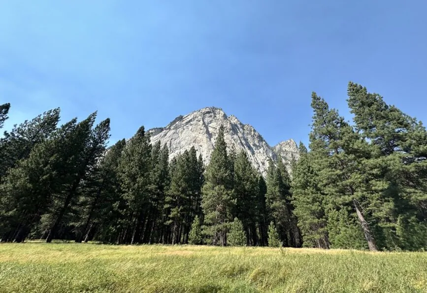 Zumwalt Meadow near Generals Highway in Kings Canyon, Calif., on Aug. 17, 2024. (Summer Lane/The Epoch Times)