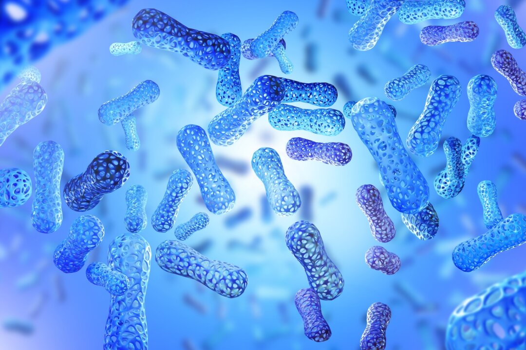 Our Industrialized Gut Microbiome