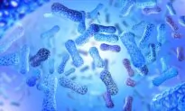 How Industrialization Affected Our Microbiomes
