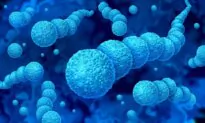 Flesh-Eating Bacteria Outbreak in Japan: Experts Share Prevention Tips