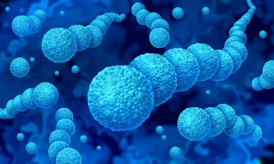 Flesh-Eating Bacteria Outbreak in Japan: Experts Share Prevention Tips