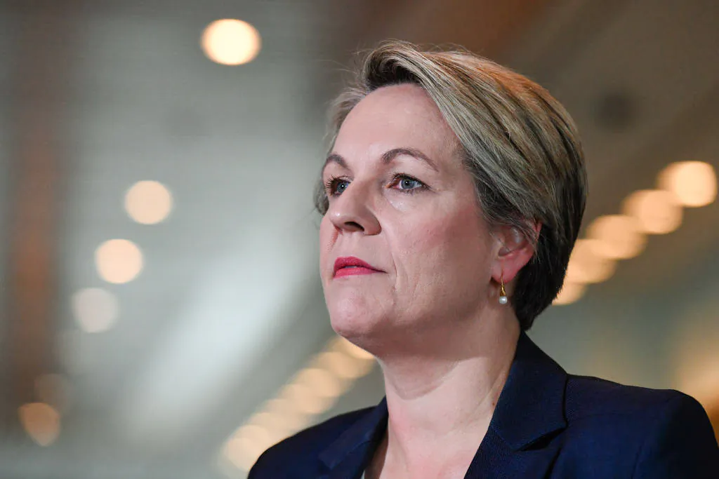 Current Social Services Minister Tanya Plibersek addresses media in the Mural Hall at Parliament House in Canberra, Australia on May 14, 2020. (Sam Mooy/Getty Images)