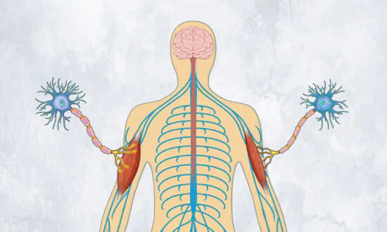 Amyotrophic Lateral Sclerosis: Symptoms, Causes, Treatments, and Natural Approaches