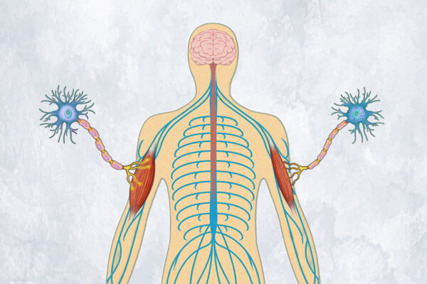 Amyotrophic Lateral Sclerosis: Symptoms, Causes, Treatments, and Natural Approaches