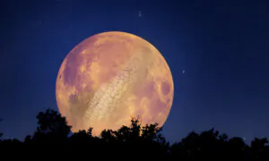 Full Harvest Moon to Fall in September Will Be a Supermoon—Here’s Why It Will Loom Gigantic