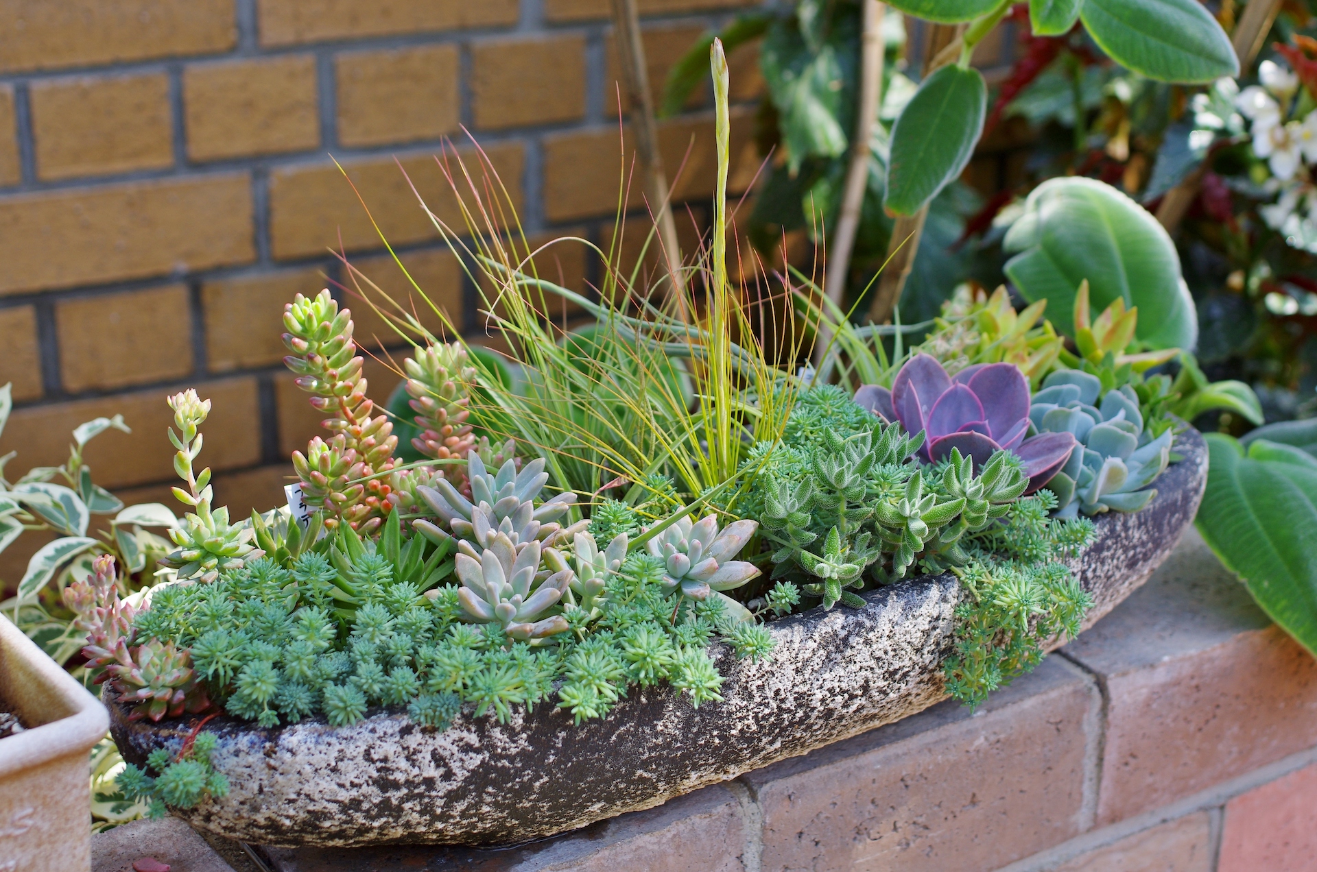 glazed ceramic flower pots Ribbed Ceramic Pot