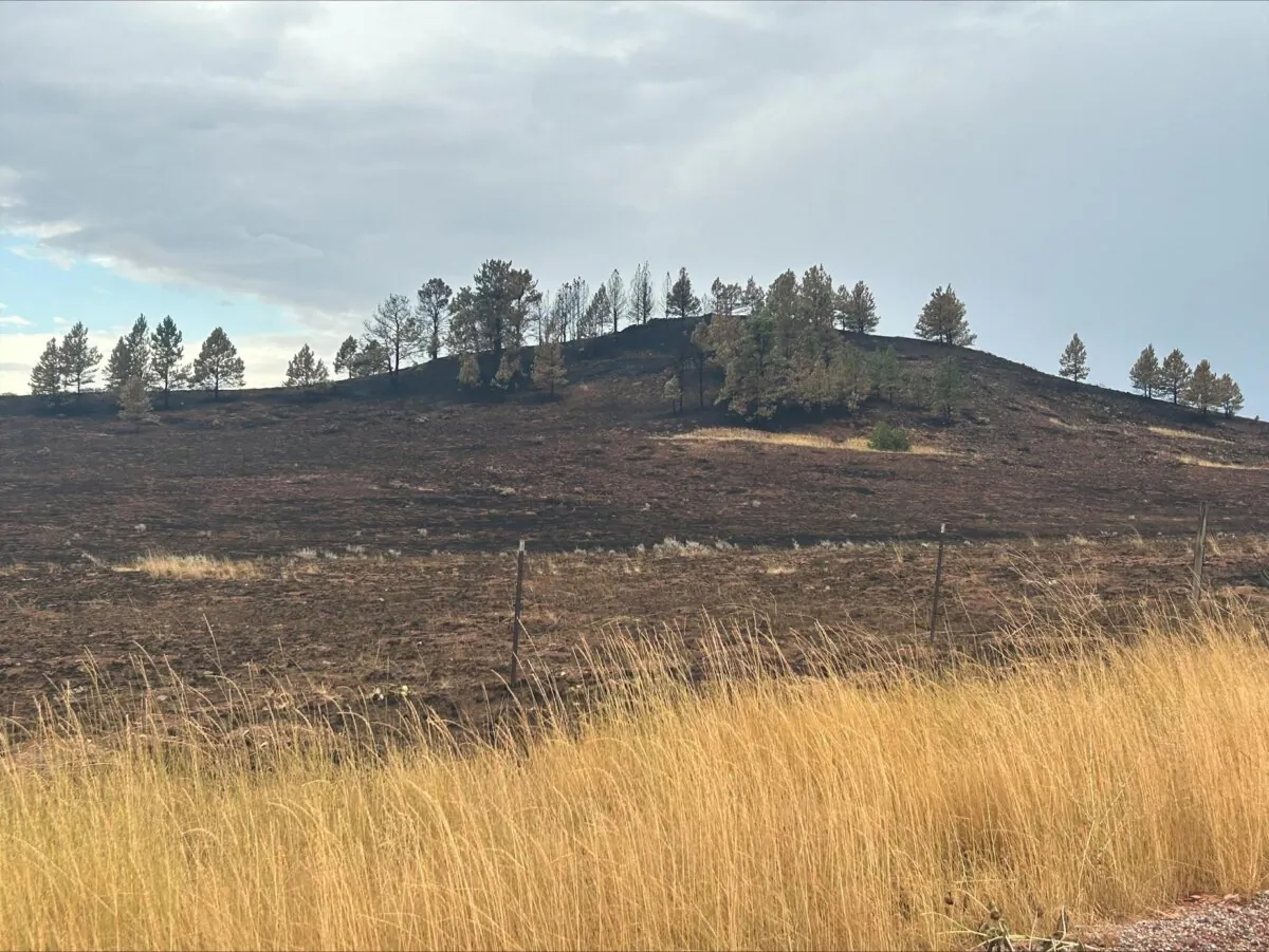The perimeter of the Remington fire in Wyoming in August 2024. (Courtesy of Southwest Incident Management Team)