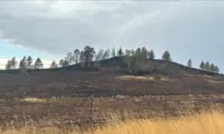 ‘Unprecedented’ Wildfire Rages Through Wyoming’s Bighorn National Forest
