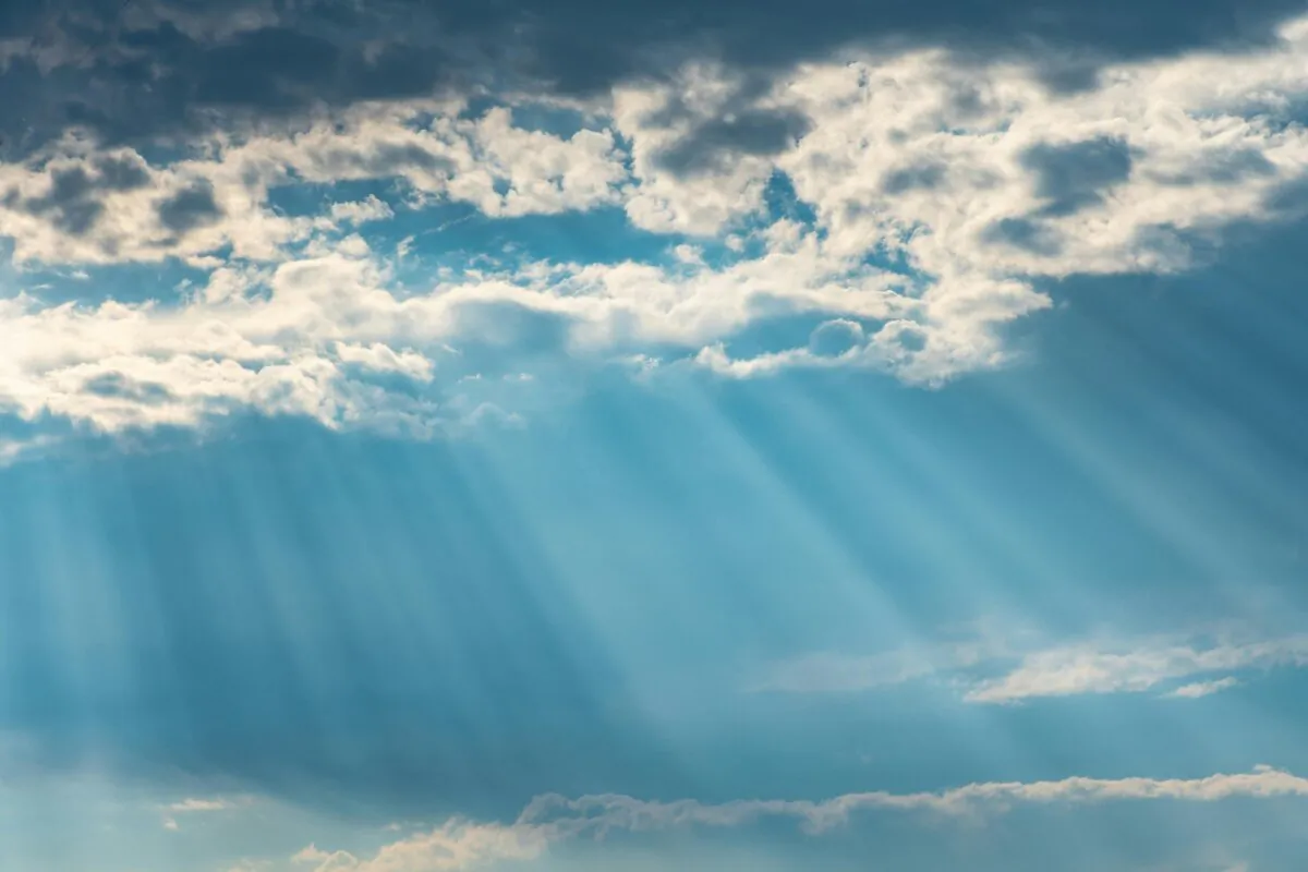 Roger A. Cook, owner of K&R Tree and Landscape Company in Burlington and longtime cast member of "This Old House," passed away at 70 years old on Aug. 21, 2024. (Brett Syales/Pexels)