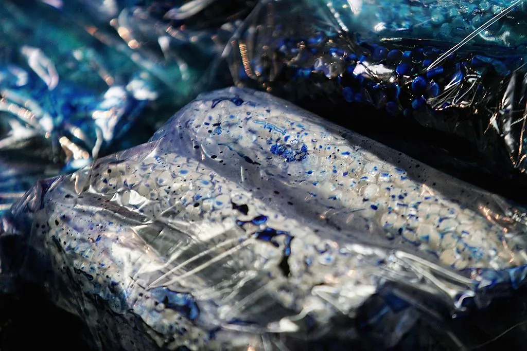 Seized (MDMA) ecstasy tablets are displayed at the Australian Federal Police headquarters in Melbourne, Australia, on June 30, 2006. (Sean Garnsworthy/Getty Images)