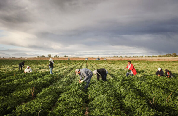 Federal Judge Blocks New Labor Rule