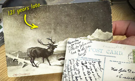 Postcard Mailed in 1903 Finally Arrives at Address Over 120 Years Later—Here’s What It Says