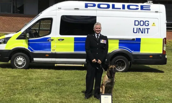 Emaciated, Abandoned Dog Tied to Road Sign Gets Second Chance at Life as Police Dog
