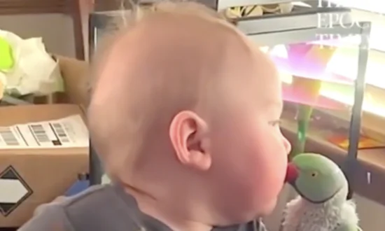 Baby and Parrot Kiss Each Other