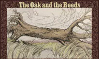 Giant Oak Shames Slender Reeds for Bowing to Winds—Just Then a Great Storm Rushes In