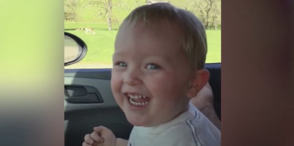 Toddler Laughs at Ostrich Eating