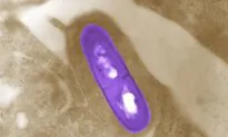 Death Toll From Multistate Listeria Outbreak Related to Deli Meats Rises to 9: CDC