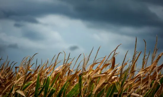Southern Hemisphere Can Expect Hotter, Colder, Windier Weather Leading Into Summer