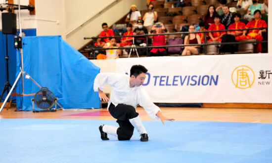 Understanding Traditional Chinese Martial Arts