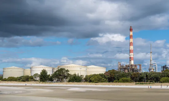 Qantas Buys Into Planned Biofuel Plant in New Zealand