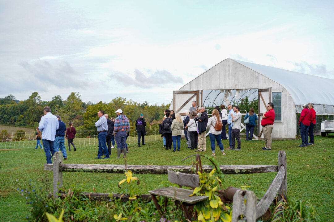 Morrisons Launches Farm Bus Tours for Customers