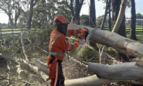 Emergency Crews Make Most of Brief Reprieve in Wild Weather