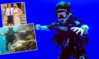 11-Year-Old Breaks World Scuba Diving Record, Can Swim Alongside Tiger Sharks and Giant Manta Rays