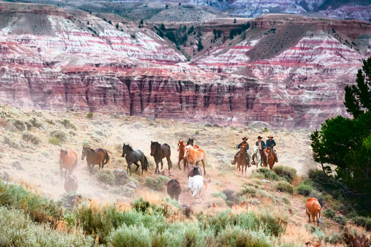 Wranglers push horses during early morning roundup. (Maria Coulson)