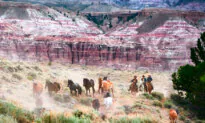 The Lifeblood of a Heartland