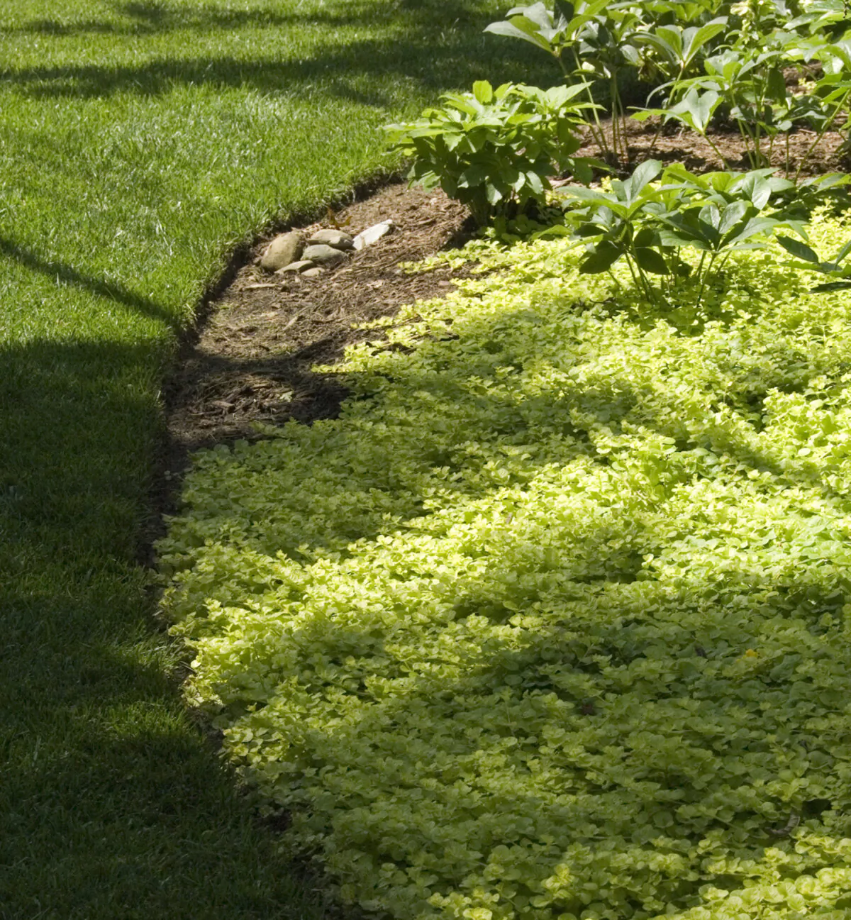Edging emphasizes the perimeter and line separating grass and the other elements of the landscape. (Gene Hamilton/TNS)