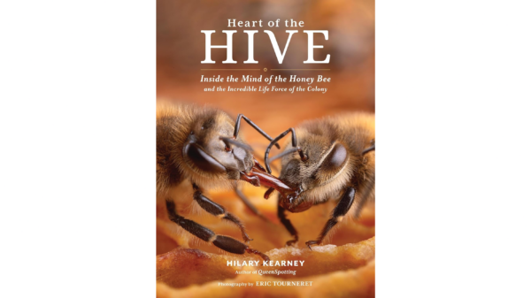 'Heart of the Hive': Home of the Honeybee