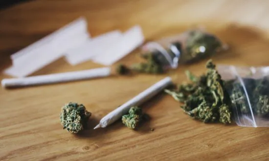 World-First Trial Seeks to Assess Driving Skills of Medicinal Cannabis Users
