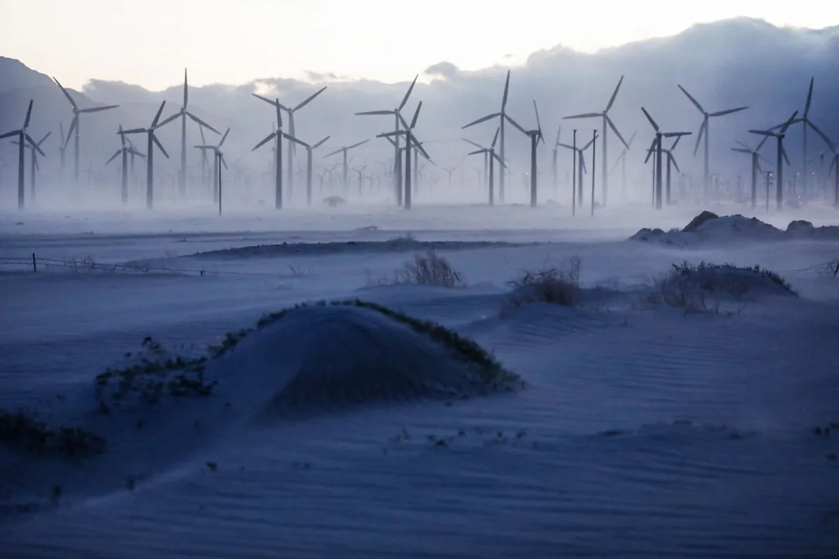 A wind farm operates in the Coachella Valley in Palm Springs, Calif., on May 7, 2019.
(Mario Tama/Getty Images)