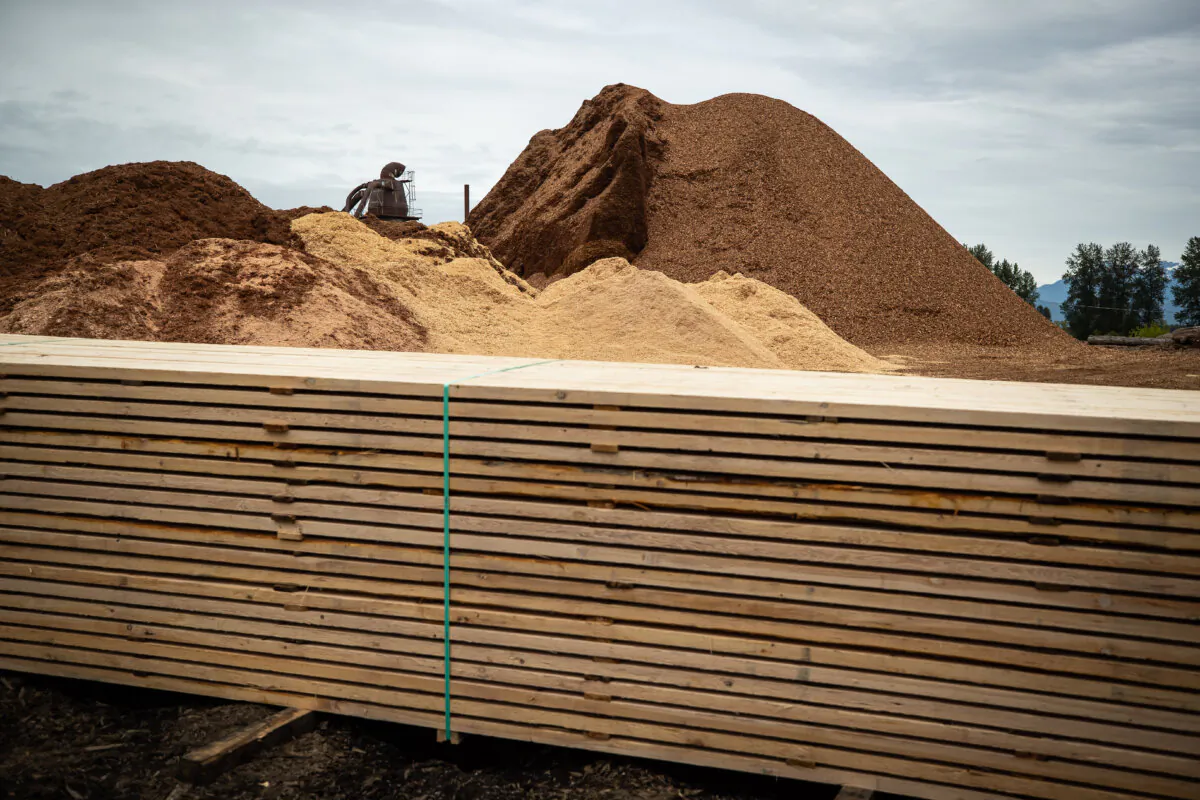 A stack of lumber and sawdust piles are seen at Teal-Jones Group sawmill in Surrey, B.C., on May 30, 2021. (The Canadian Press/Darryl Dyck)