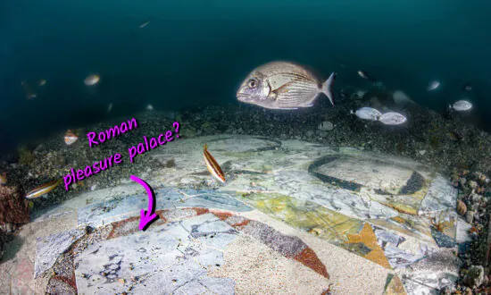 Divers Discover Luxurious Marble Floor of Roman Villa Underwater in Italy—Here’s Why It Sank