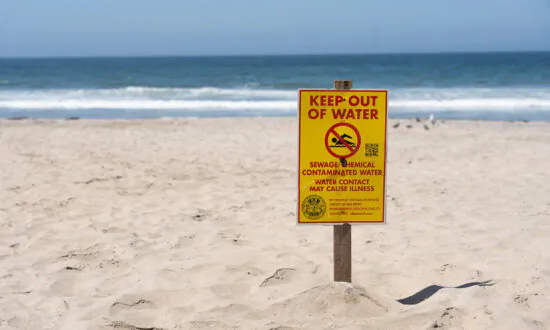 ‘High Bacteria’ Warnings Issued for Beaches Across US Ahead of Fourth of July