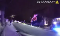 Man Charged With Assault in Random Shootings on Seattle Freeway