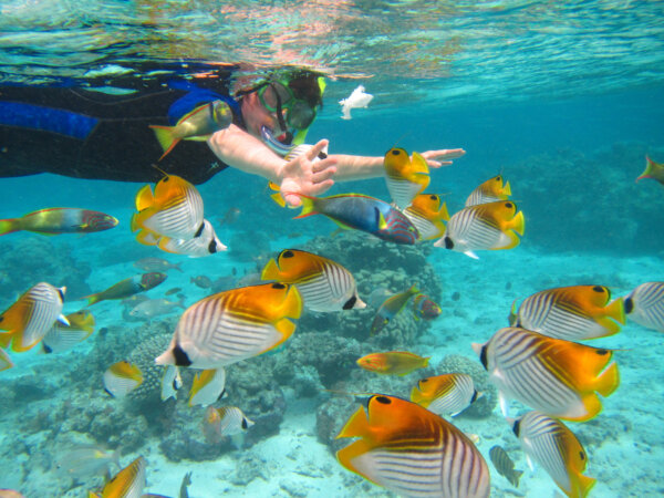 Snorkeling in South Florida: Check out These 6 Must-See Spots