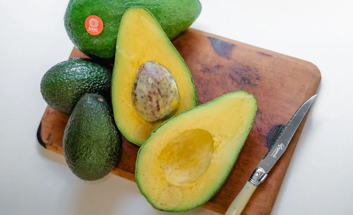 The giant Jala avocado. (Courtesy of Flemings Nursery)